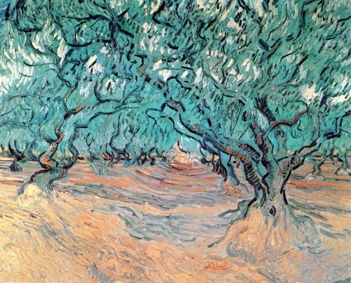 Olive Trees by Vincent Van Gogh - Hand Painted Oil Painting