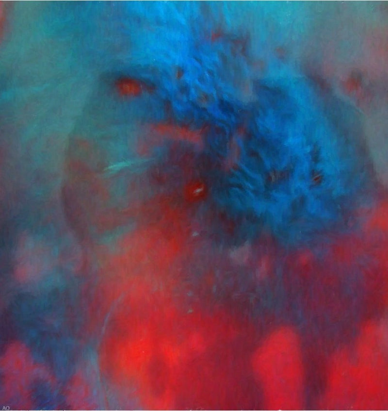 Blue Red Green Abstract by Our Original Collection - Hand Painted Oil Painting