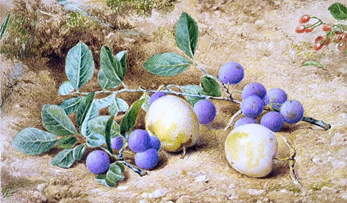 Plums by John William Hill - Hand Painted Oil Painting