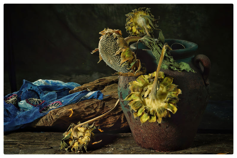 Still Life#0036