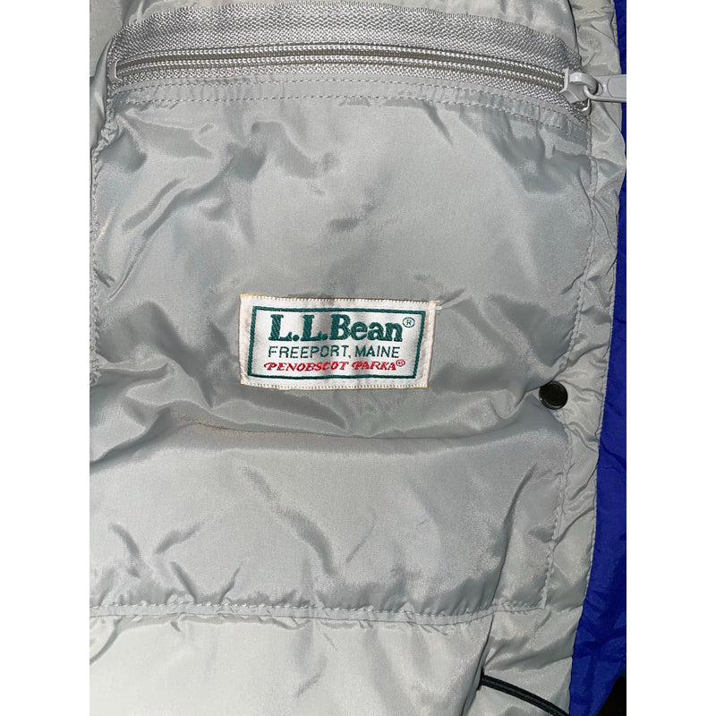 LL Bean Vintage 90's Ski Jacket 3M Thinsulate Teal Medium