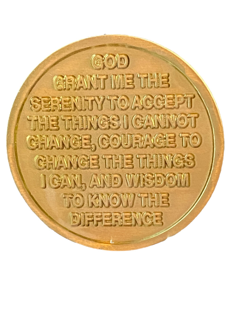 American Eagle USA Flag Patriotic One Day At A Time Medallion Serenity Prayer Chip