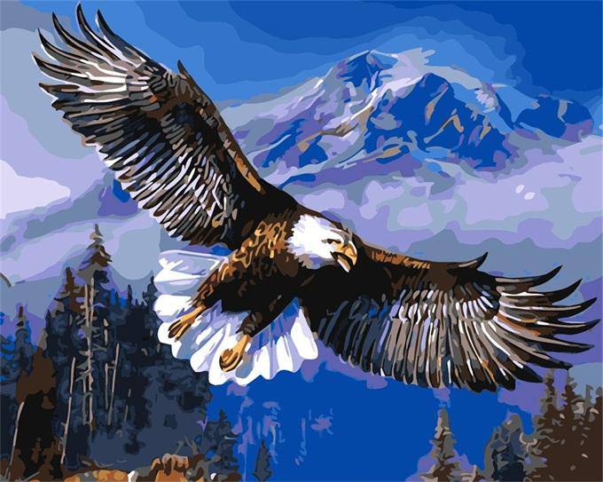 American Eagle