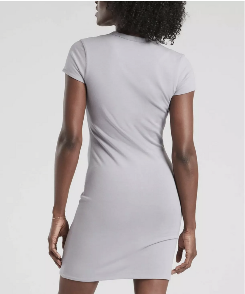 Athleta Lilac Stone / Osprey Gray Short Sleeve Reversible Destina Dress