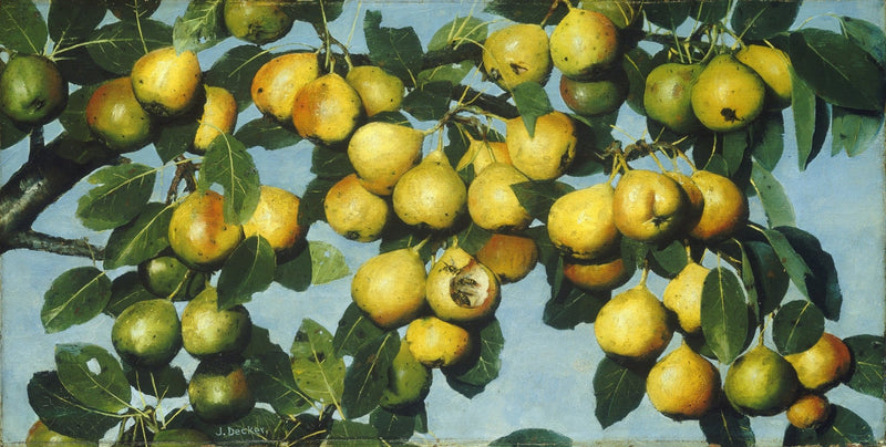 Lush Pear Tree with Abundant Fruit Oil Painting