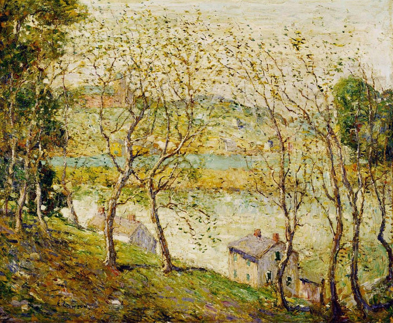 Serene Landscape with Trees and Waterfront Houses