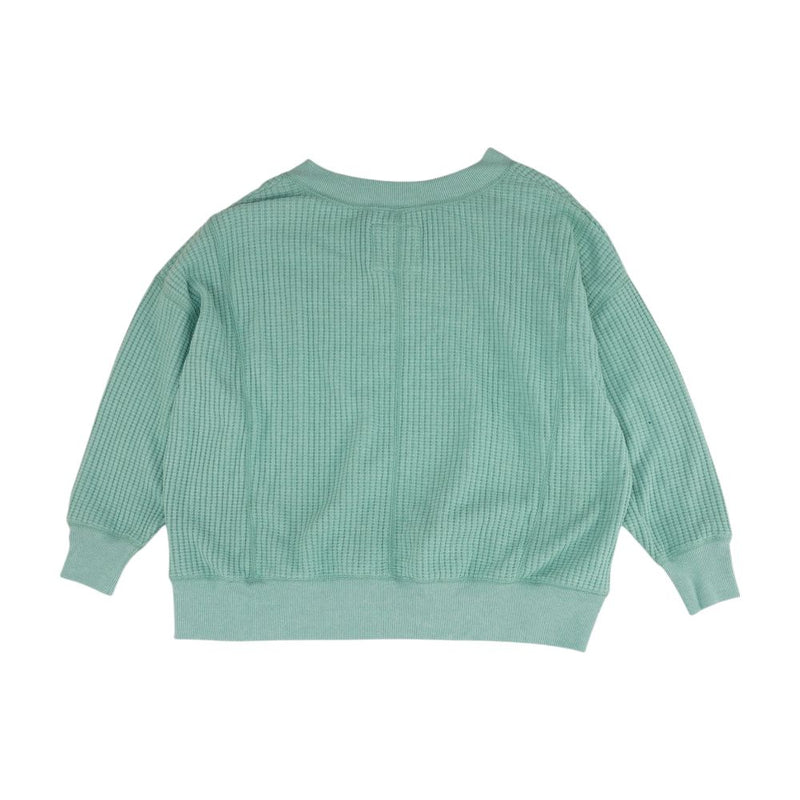 Green Solid V Neck Knit Top