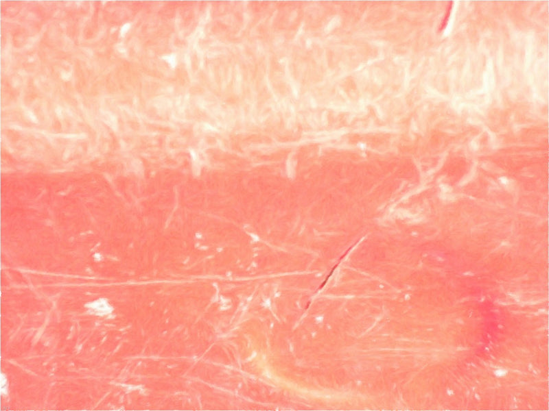 Pink Scratch Abstract by Our Original Collection - Hand Painted Oil Painting