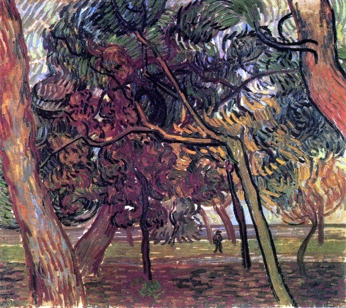 Study of Pine Trees by Vincent Van Gogh - Hand Painted Oil Painting