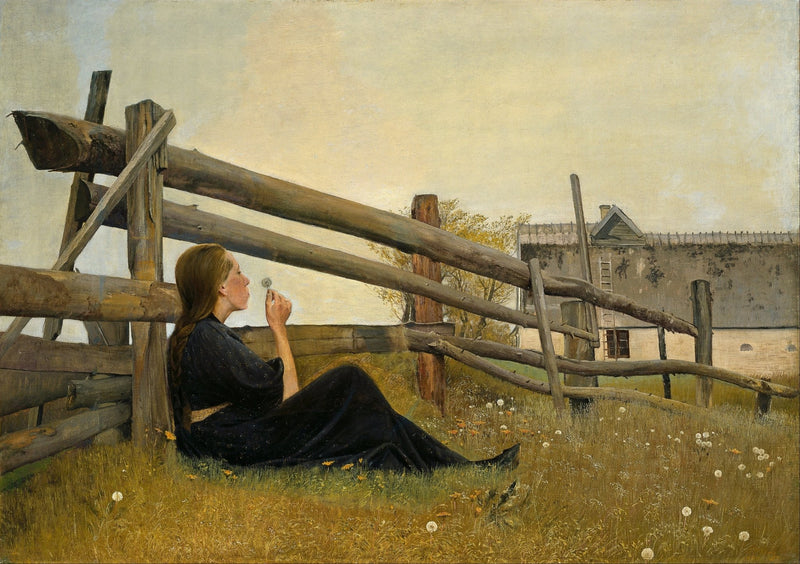 Woman in Black by Wooden Fence