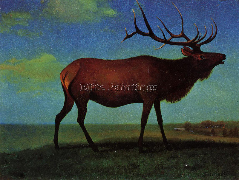 ALBERT BIERSTADT ELK ARTIST PAINTING REPRODUCTION HANDMADE OIL CANVAS REPRO WALL