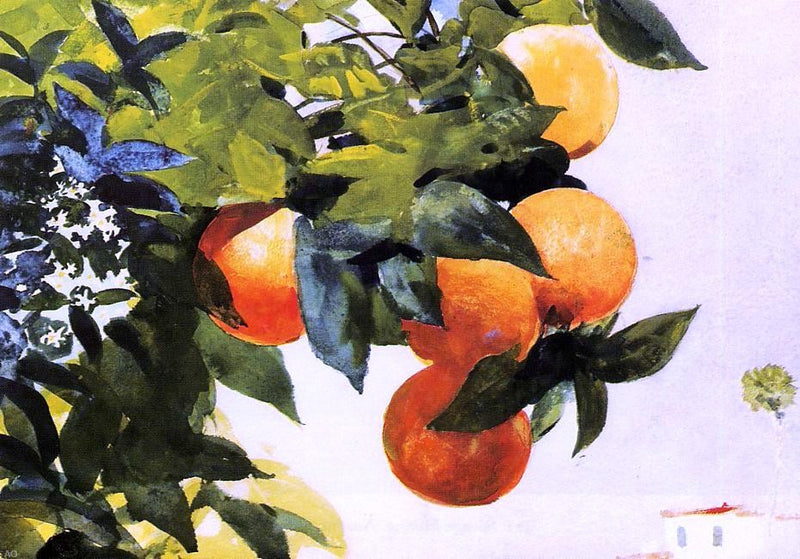 Oranges on a Branch by Winslow Homer - Hand Painted Oil Painting