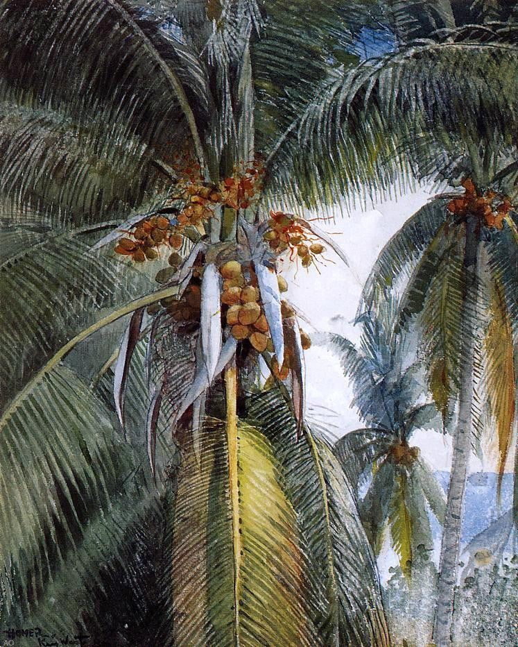 Coconut Palms, Key West by Winslow Homer - Hand Painted Oil Painting
