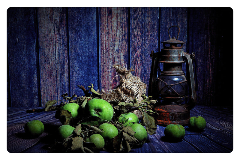 Still Life#0027