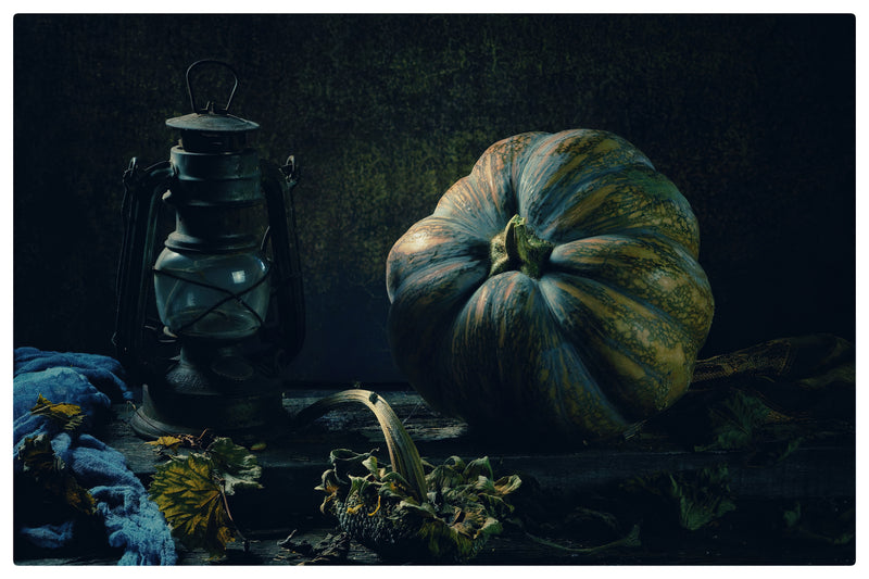 Still Life#0019