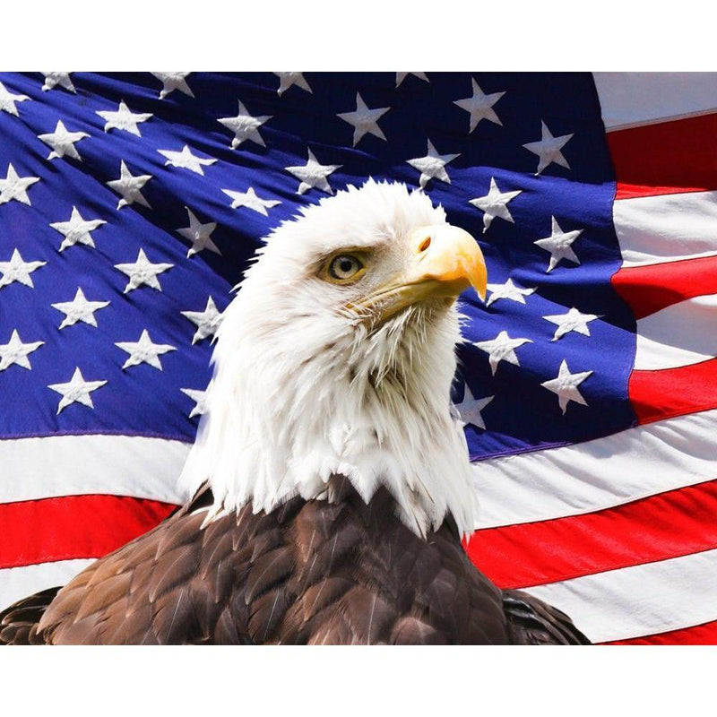 [Ships from USA] American Eagle