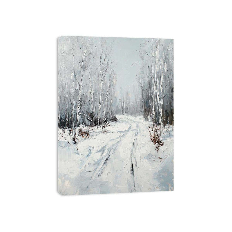 Snow Path