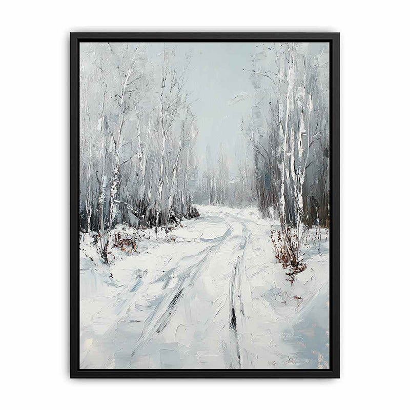 Snow Path
