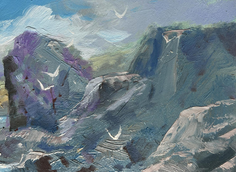 Oil painting Seagulls and rocky shore in the sea Yuriy Suprunchuk
