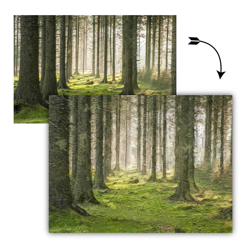Custom Photo Oil Effect Decor — Oil Effect on Canvas