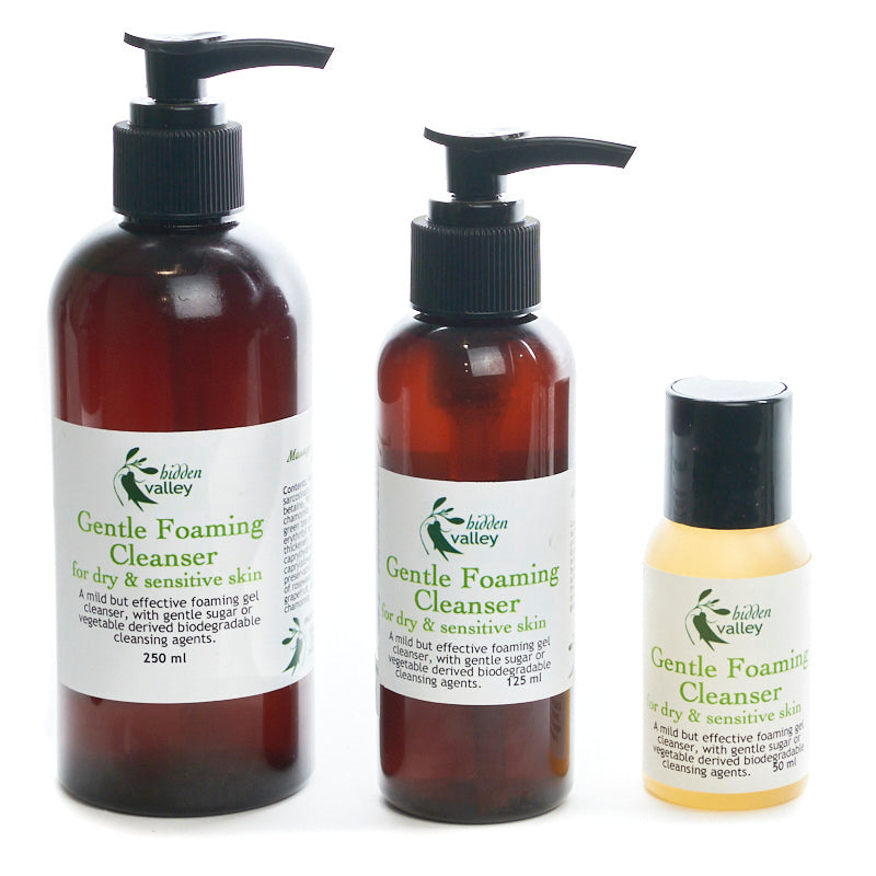 Gentle Foaming Cleanser for Dry Skin