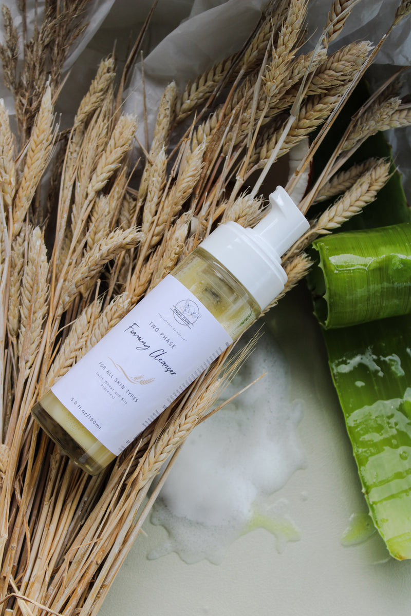 Dual Gentle Foaming Cleanser with Pineapple Enzymes and Wheat Protein