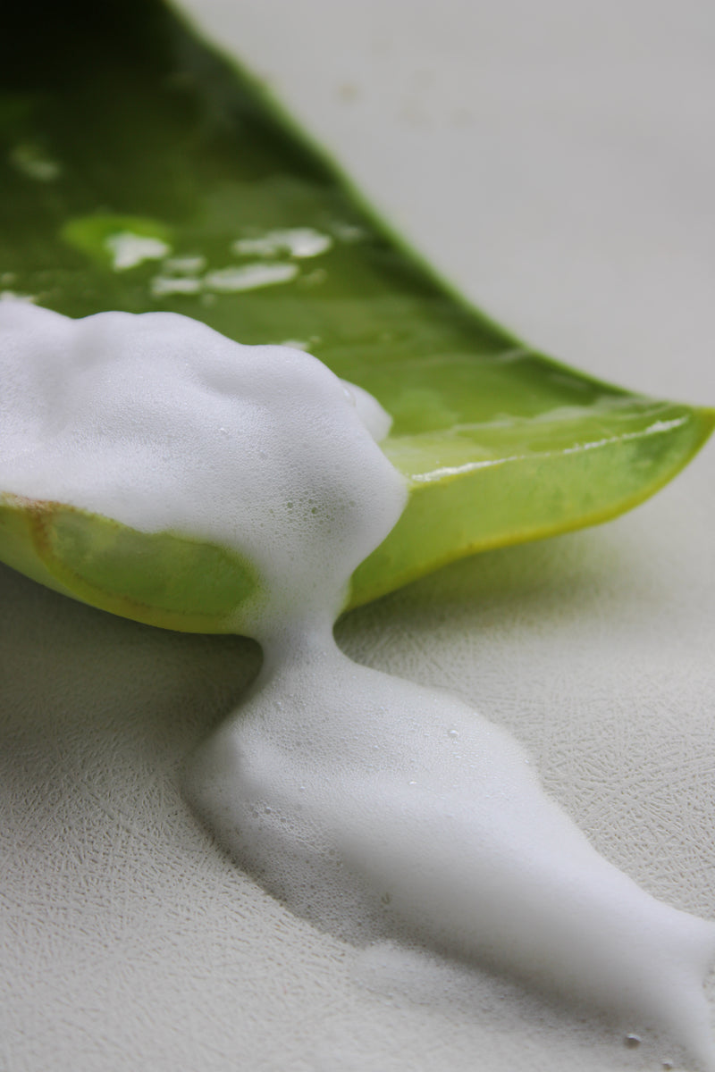 Dual Gentle Foaming Cleanser with Pineapple Enzymes and Wheat Protein